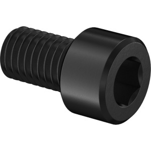 Super-Corrosion-Resistant A4 Socket Head Screw M10 x 1.5 mm Thread size, 16 mm Long图4
